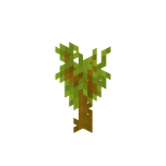 Akaciaplanta