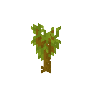 Паросток акації image