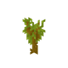 Acacia Sapling image