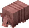 Armadillo image