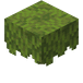 Asalea