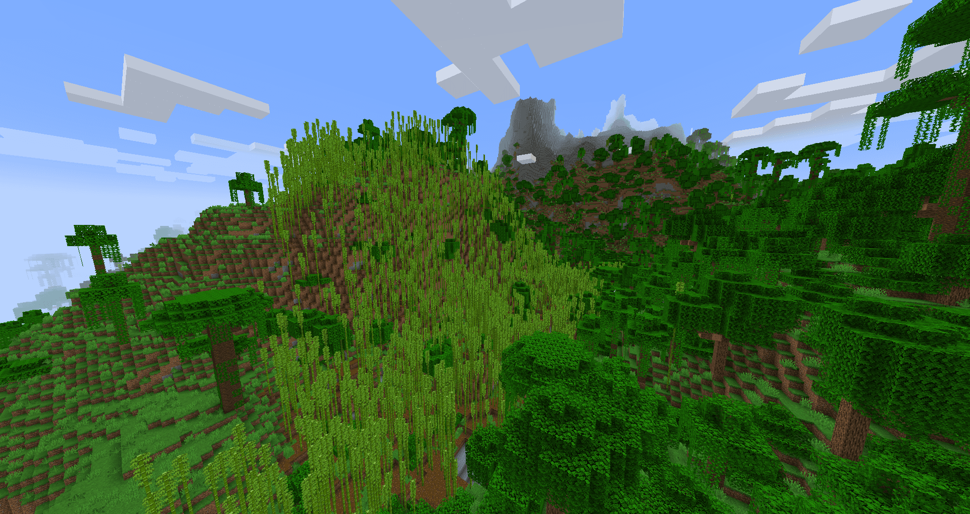 Bamboo Jungle image