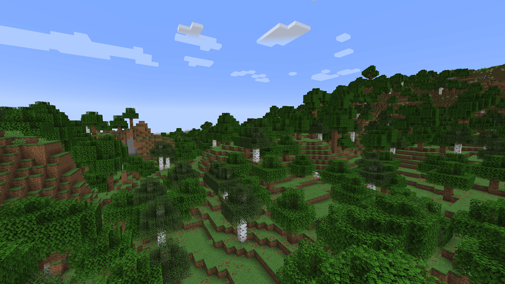 Forest image