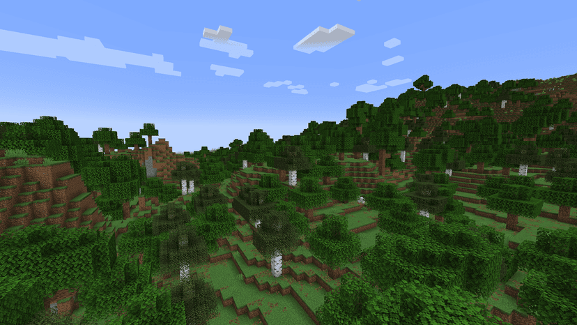 Forest