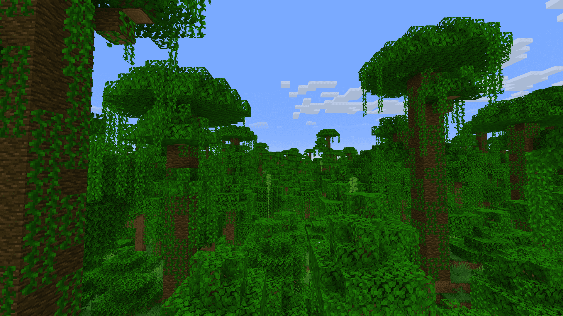 Jungle image