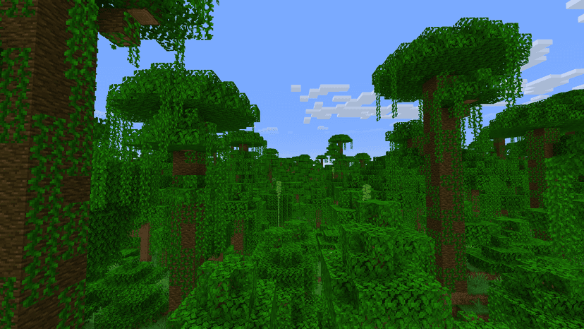 Jungle