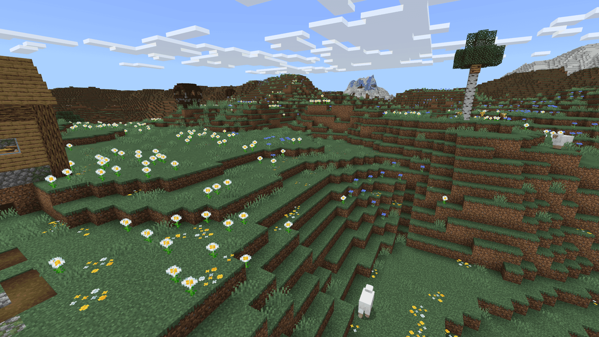 Meadow image