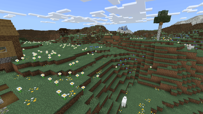 Meadow