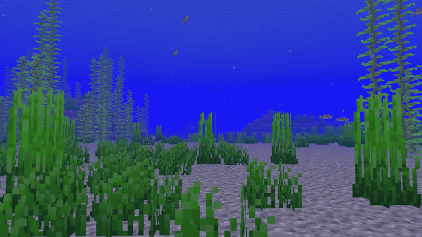 Ocean