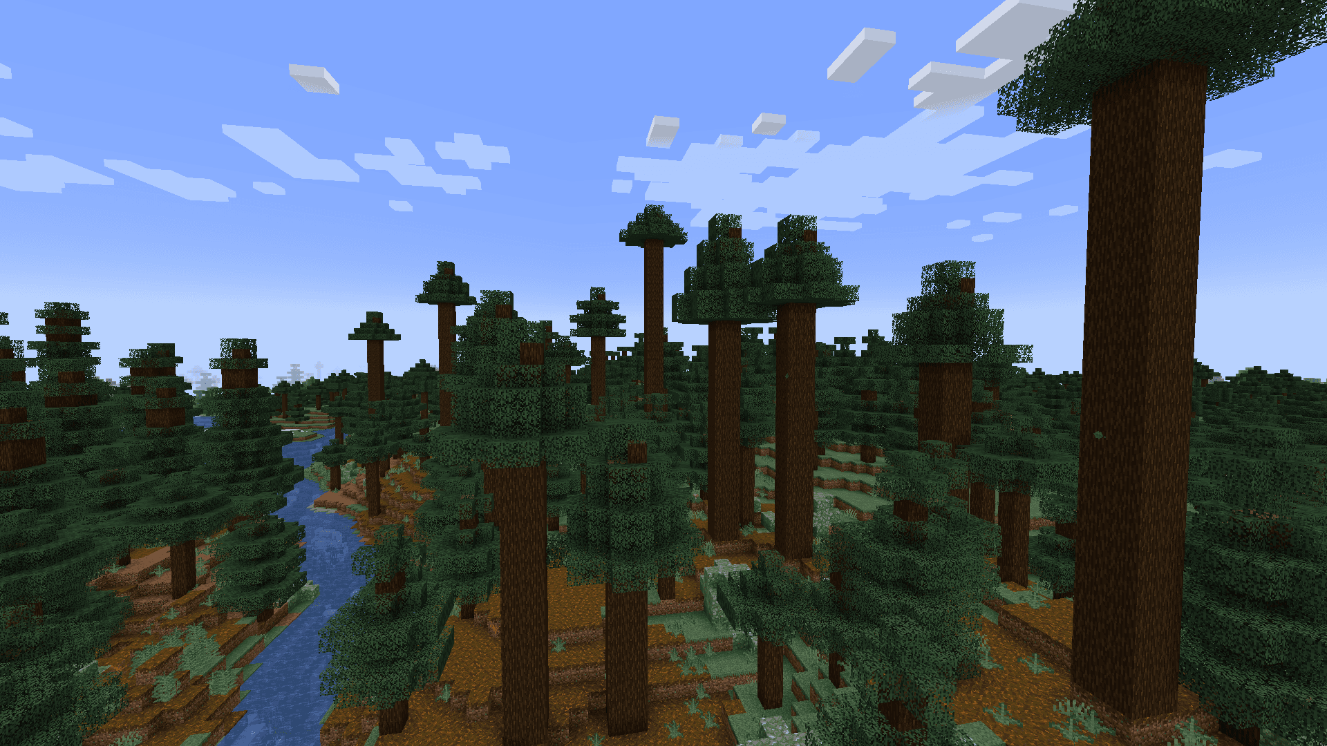 Old Growth Pine Taiga image