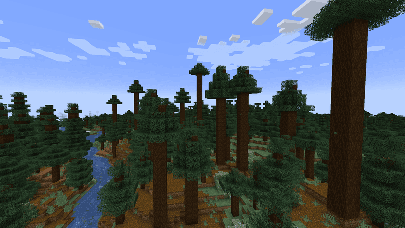 Old Growth Pine Taiga