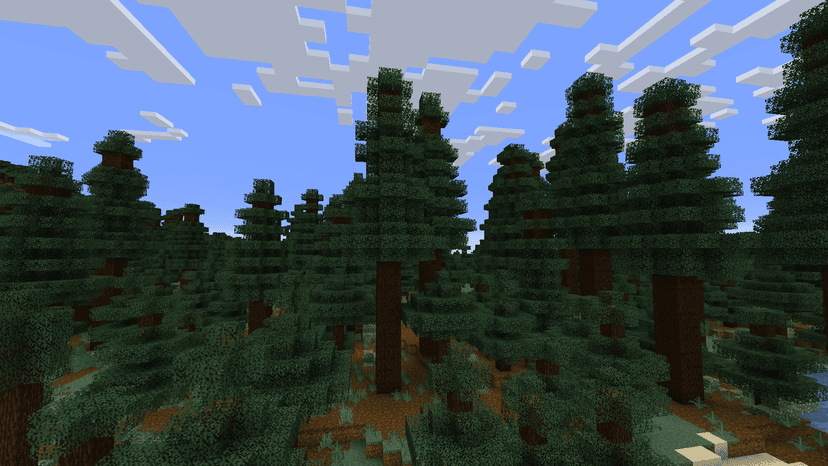 Old Growth Spruce Taiga