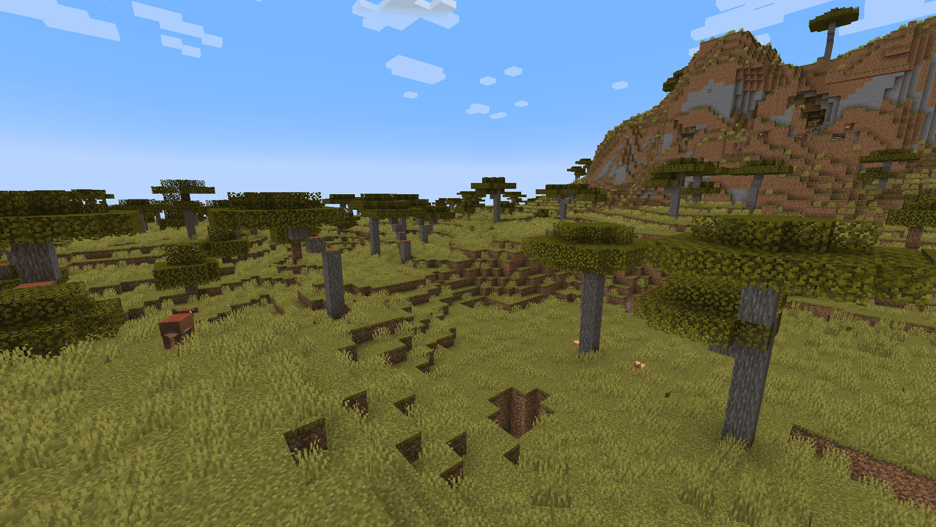 Savanna image