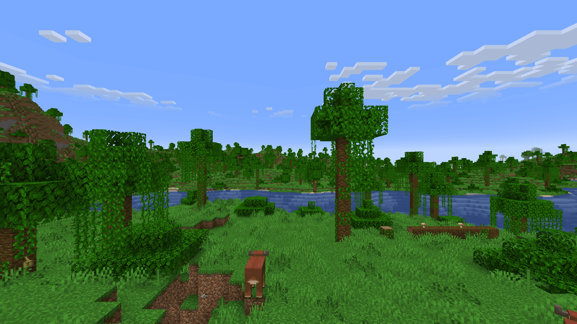 Sparse Jungle image