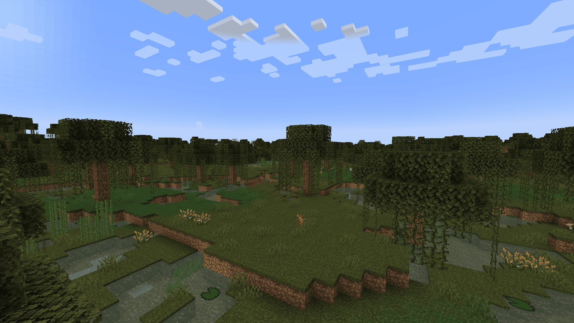 Swamp image