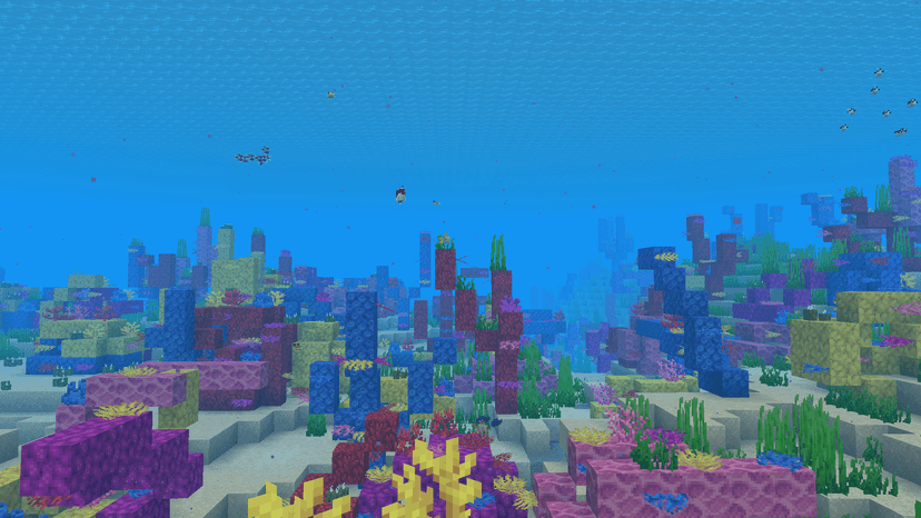 Warm Ocean