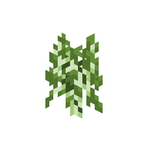 Паросток берези image