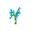 Orchidée bleue