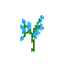 Blue Orchid image