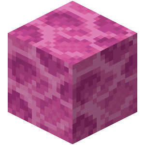 Brain Coral Block image