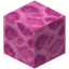 Brain Coral Block