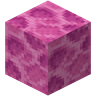 Brain Coral Block image