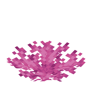 Brain Coral Fan image