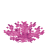 Brain Coral Fan image