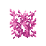 Brain Coral image
