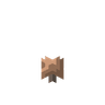 Brown Mushroom image