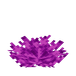 Boblekorallvifte