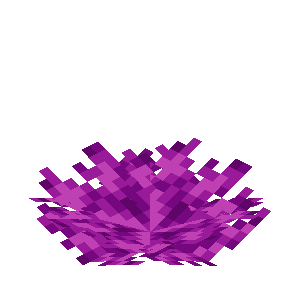 Bubble Coral Fan
