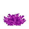 Bubble Coral Fan image