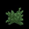 Bush image