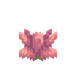 Kaktusblomst