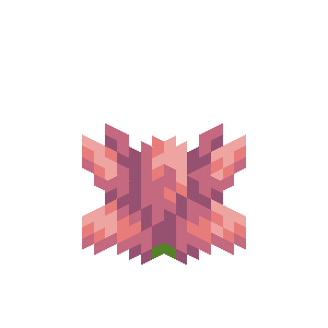 Fleur de cactus