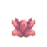 Cactus Flower image