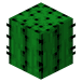 Kaktus