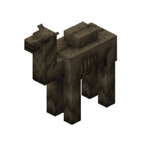 Kamelhusk