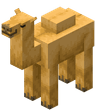Camel image