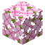 樱花树叶