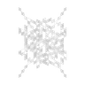 Cobweb image