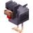 Cold Chicken