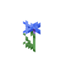 Cornflower image
