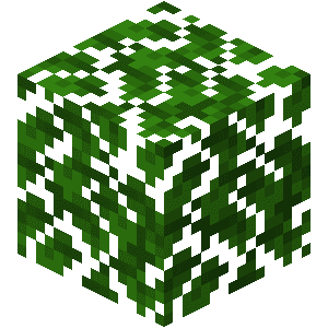 Blade fra mørk eg image