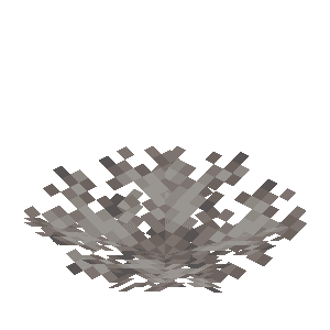 Dead Brain Coral Fan image