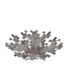 Dead Brain Coral Fan image