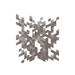 Dead Brain Coral image