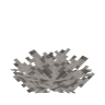 Dead Bubble Coral Fan image