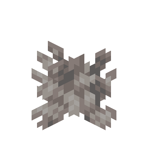 Dead Bubble Coral image